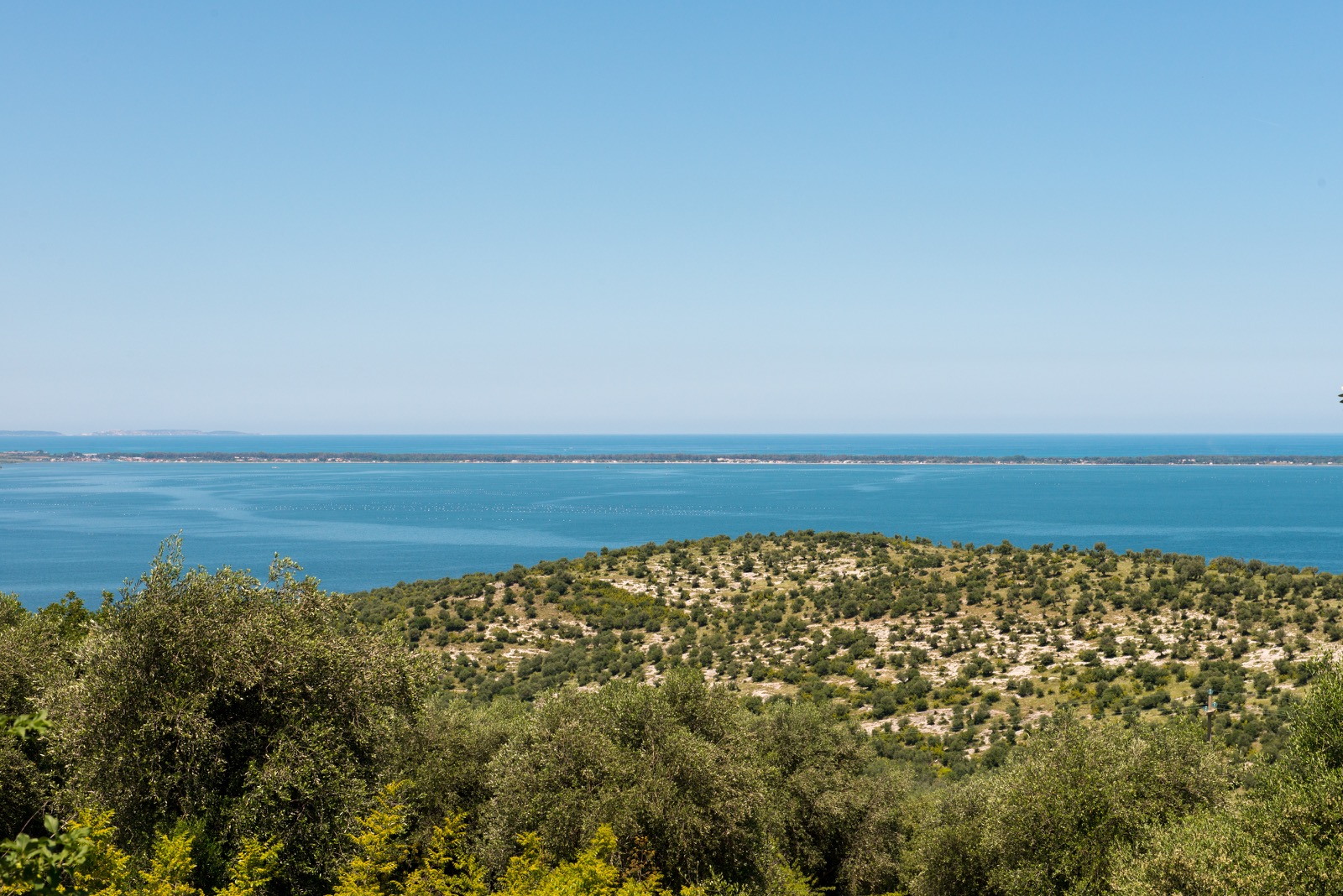 Il parco